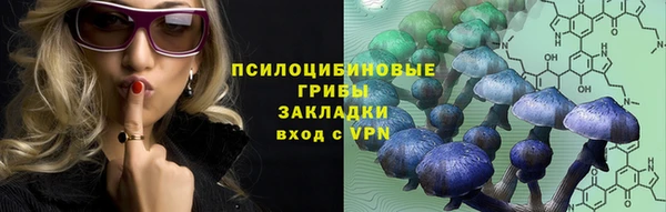 прущие грибы Покровск