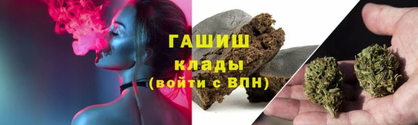 прущие грибы Покровск