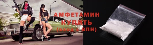 прущие грибы Покровск
