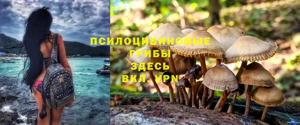 герыч Покачи