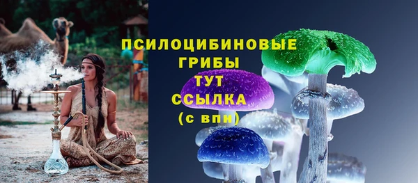 прущие грибы Покровск
