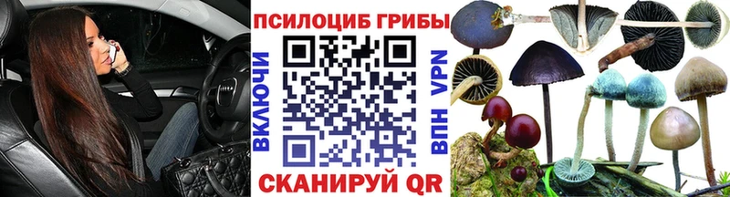 Галлюциногенные грибы Magic Shrooms  Купить  Краснозаводск 